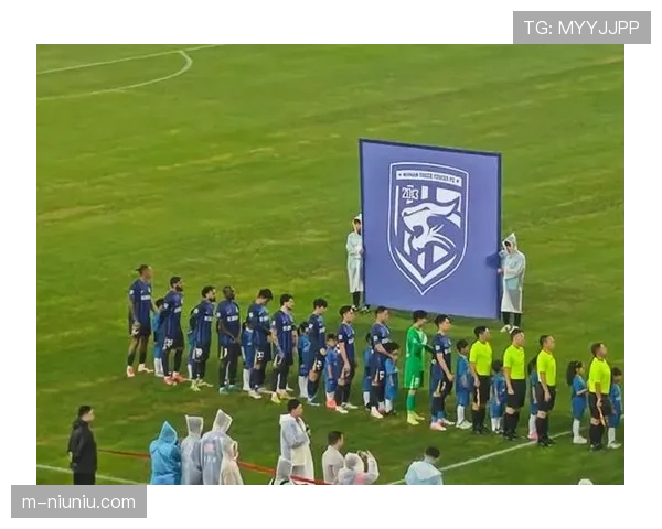 武汉三镇2-0战胜浙江俱乐部绿城，积分成功转正